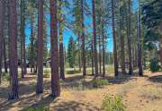 Vacant Land in Gray's Crossing