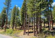 11762 Coburn Dr. | Gray's Crossing Homesite