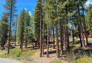 11762 Coburn Dr. | Gray's Crossing Land for sale