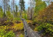 Juniper Creek Bridge - Truckee Acreage Listing