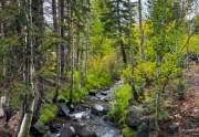 Juniper Creek, Truckee, CA Acreage Property