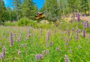 Truckee Acreage Property - 19901 La Mirada Rd