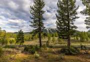 584 Stewart McKay | Views from Lahontan