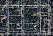 Satellite Lot Image | 7226 2nd Ave.